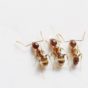 3 termites