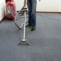 steam carpet cleaning